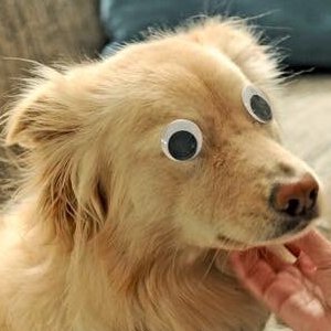 へにゃさんのプロフィール画像