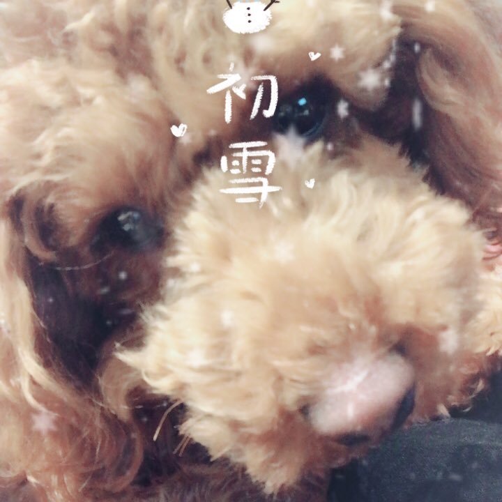 絃 Ar Twitter ドラえもん終了のお知らせ 作画崩壊ひどすぎるだろ 作画崩壊 絃 Ar Twitter ドラえもん終了のお知らせ 作画崩壊ひどすぎるだろ 作画崩壊
