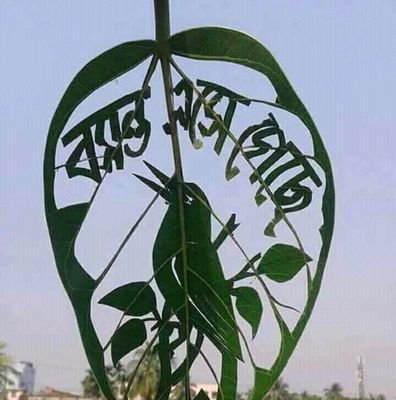 saikatsau10's profile picture. SS