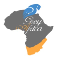 greyafricahub's profile picture. Grey.A.H is a movement by Africa youths to raise creative & innovative youths who will be self employed, self sufficient & self dependent using tech as a tool.