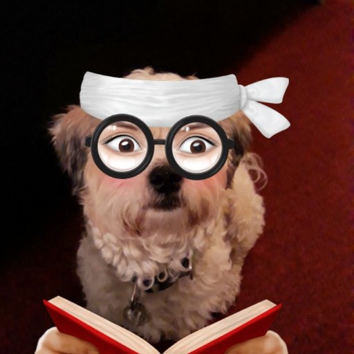 paulmurray58's profile picture. 