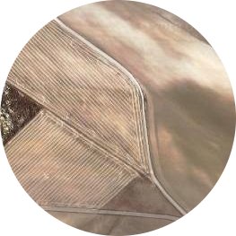 OdisRiedl's profile picture. Bitcoin since block 103151