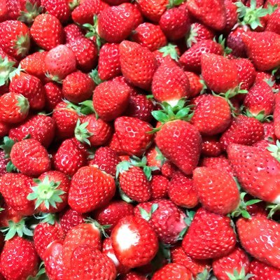 yoshiya830's profile picture. 