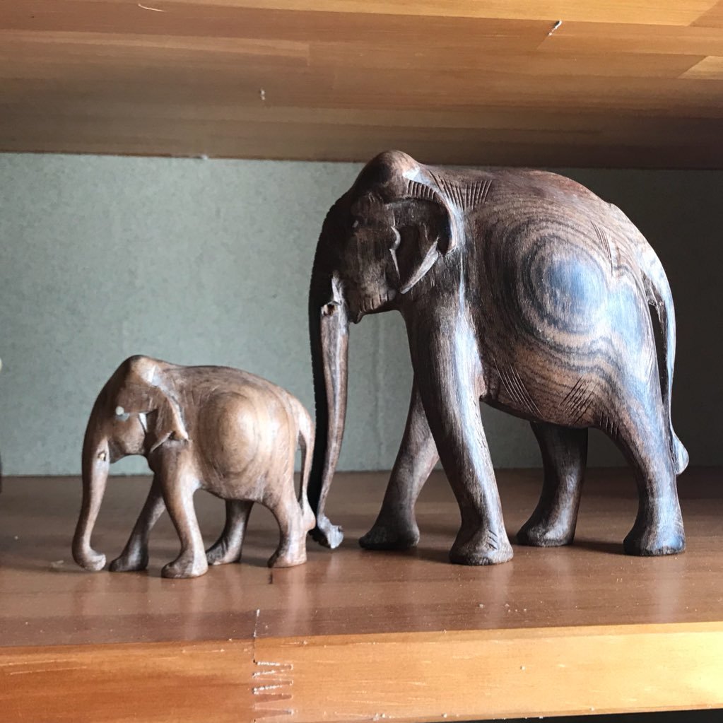 hash_foo's profile picture. 