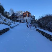 Pine Lodge (@pinelodgecork) 's Twitter Profile Photo Pine Lodge (@pinelodgecork) 's Twitter Profile Photo