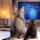 joe alcorn - @MR1919 - Twitter