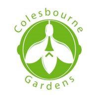 Colesbourne Gardens (@colesbournepark) 's Twitter Profile Photo Colesbourne Gardens (@colesbournepark) 's Twitter Profile Photo
