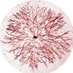 collective mycelium (@mycelium_ch) Twitter profile photo collective mycelium (@mycelium_ch) Twitter profile photo