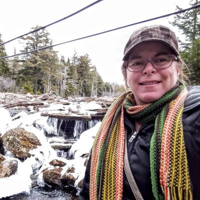 Profile Picture of D. Lisa Davison (@LisaDluvsphotos) on Twitter