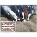 BackBritishFarming (@British_Farming) Twitter profile photo