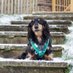 Severus & Neville (@fachshund) Twitter profile photo Severus & Neville (@fachshund) Twitter profile photo