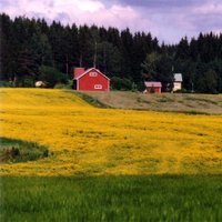 Nebraska Rural Health Association (@ne_nerha) 's Twitter Profile