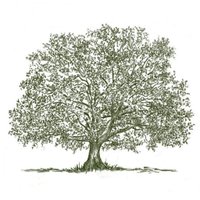 Carroll Tree Service (@carrolltreeserv) 's Twitter Profile