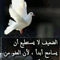 نبض الشارع (@ahmedalfarha1) Twitter profile photo