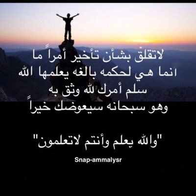 mnoolh1's profile picture. 