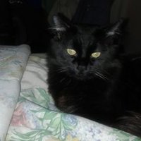 Sharon Burkley (@sharon_burkley) 's Twitter Profile