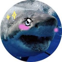 Tanelorn_RS's profile picture. 