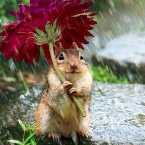 rhyme_9221's profile picture. 最近↑↓が激しいです(笑)