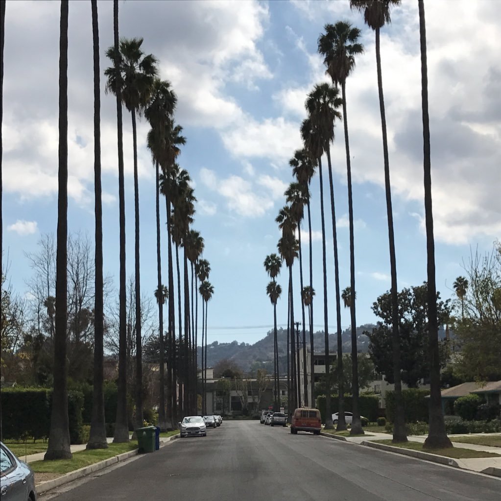 Kahn_Woman's profile picture. Mystery wrapped in a puzzle.