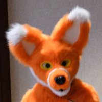Bolt (@fuzzyorangefoxy) 's Twitter Profile