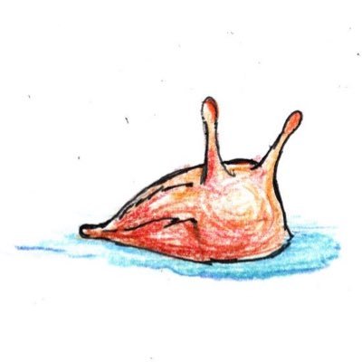 めなくじさんのプロフィール画像