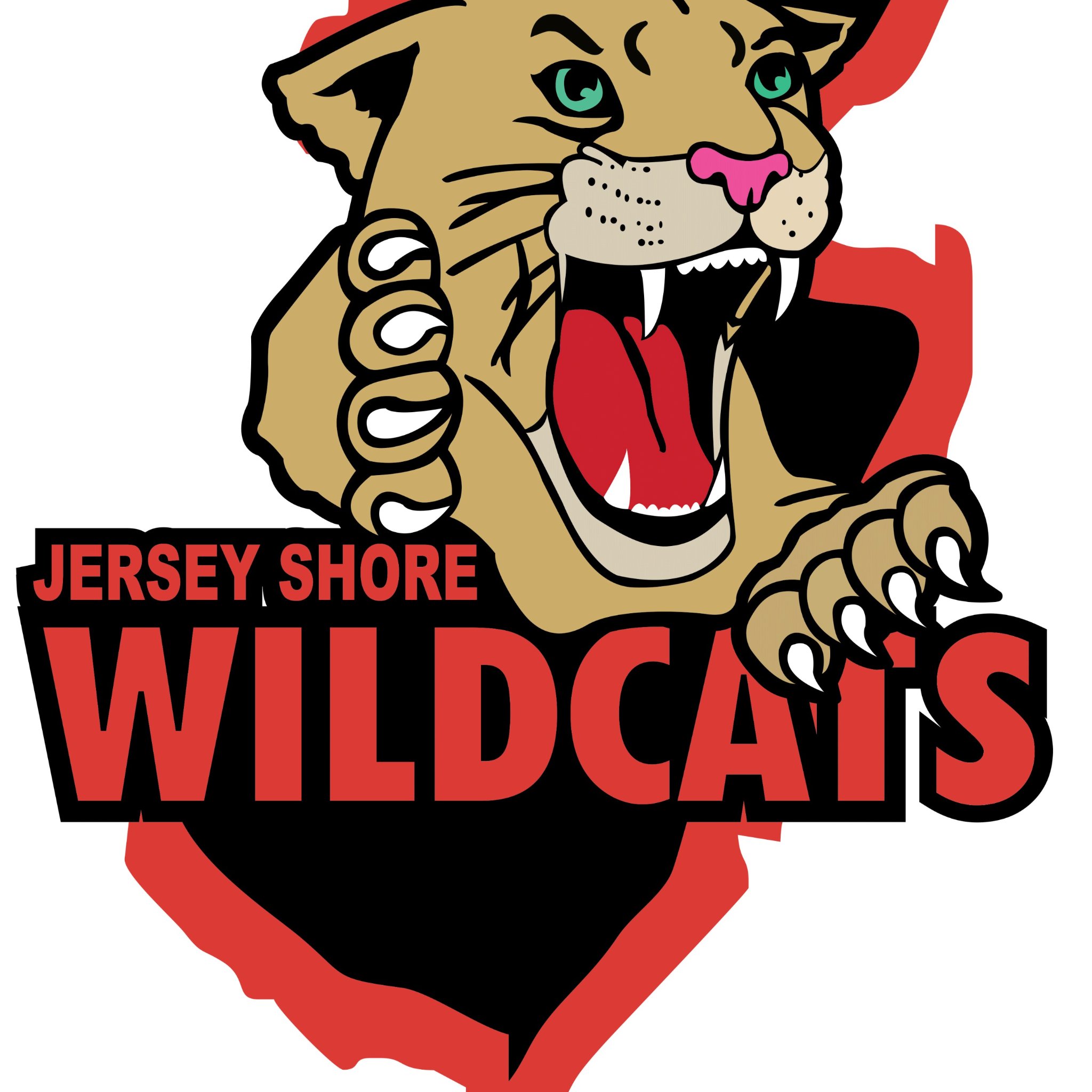 The Jersey Shore Wildcats are members of the NJYHL, USA Hockey & affiliated with the Atlantic District, playing Mite thru Midget age levels.