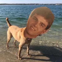 Doug Messina (@f3tinydancer) 's Twitter Profile