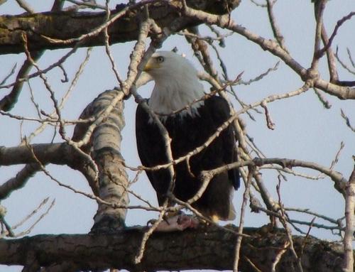 phil_bertrand's profile picture. 