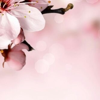 junelle11083's profile picture. 