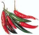 Bestest chilli sauce maker in the world - so they tell me