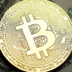 Blockchain enthusiast #Btc | #Investment | #Mining | #Altcoin | #Crypto | #Token