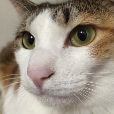 h89zqEKCO4BfEVh's profile picture. 