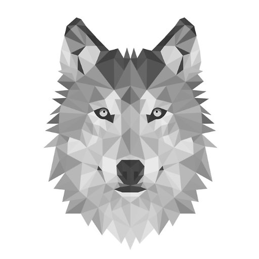 Raisedby_Wolves's profile picture. Music & Arts PR Agency