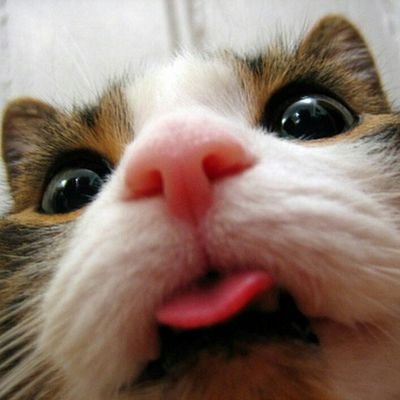 Do ю speak Инглишь?
Общажный студент👨
Есть Инста ( Malay_official ) 👀
Есть видосики, ☝разные
Сюда пишу смешные моменты😹