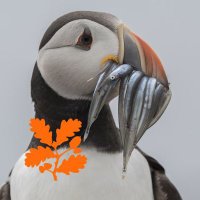 The Farne Islands(@NTFarneIslands) 's Twitter Profileg