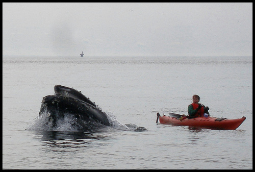 IsabelleMorency's profile picture. 