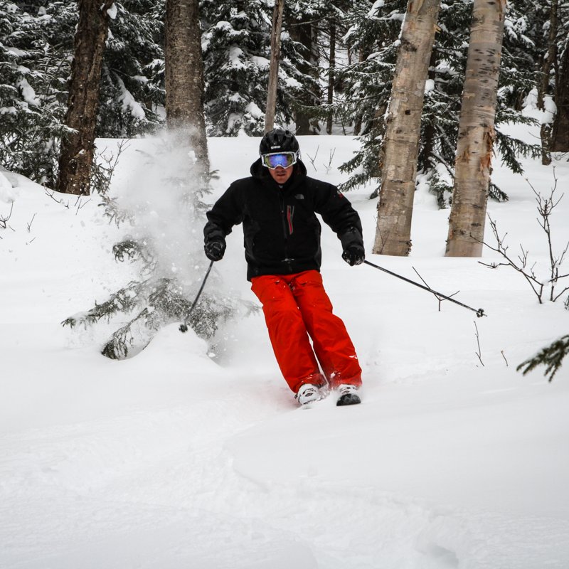 JoshNewpol's profile picture. 