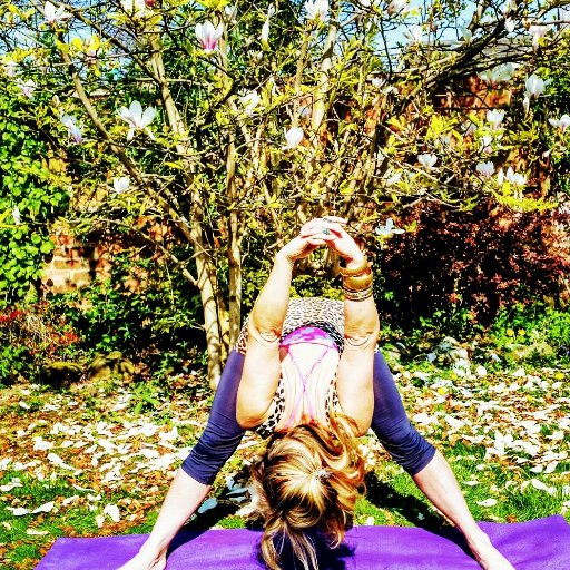 wellness_wonder's profile picture. 💜Imperfect Wellbeing Coach💚
Empowering Midlife Women to be Happier & Healthier & Fitter & Stronger
for Longer | Online Classes| Courses |
 Off Grid Retreats💜