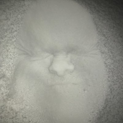 ProtractorUser's profile picture. Maths geek and fan of Pi. Please note this is not often monitored during school holidays.