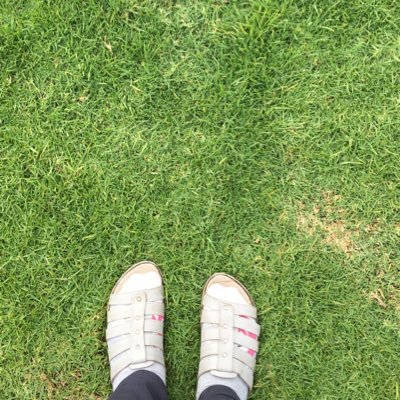 tsanirkh's profile picture. Learn-Believe-Make It Happen