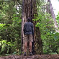 Tom Rapp (@tomrapp16) 's Twitter Profile