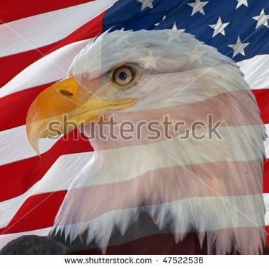 KulcsarBarnabas's profile picture. Husband, grandfather, patriot! #MAGA