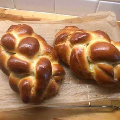 ChallahCam Profile Picture