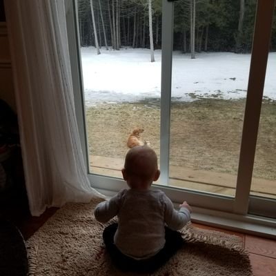 KristinDBaz's profile picture. Ottawa, On