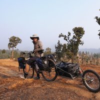 mushypea (@mushypeatweet) 's Twitter Profile