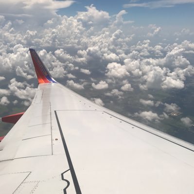BeeRBLX's profile picture. Aviation enthusiast | Soccer |