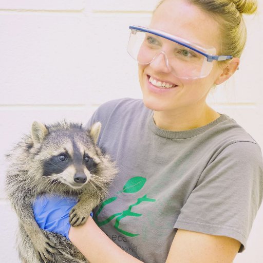 Cognitive ecologist @UCBerkeley studying urban carnivores | puzzle maker | wine enthusiast | enjoys staying up late with #raccoons & #coyotes 🌙 she/her