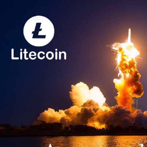 Litecoin. scrypt miner. HODL Investor.- #PayWithLitecoin- #Litecoin -#LitecoinFam #Litecoination-#LTC-#LitecoinStrong