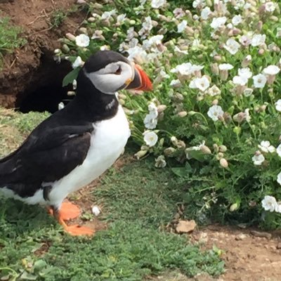 kinachita365's profile picture. ダイエット2R突入(2021年５月) 筋カツ初心者