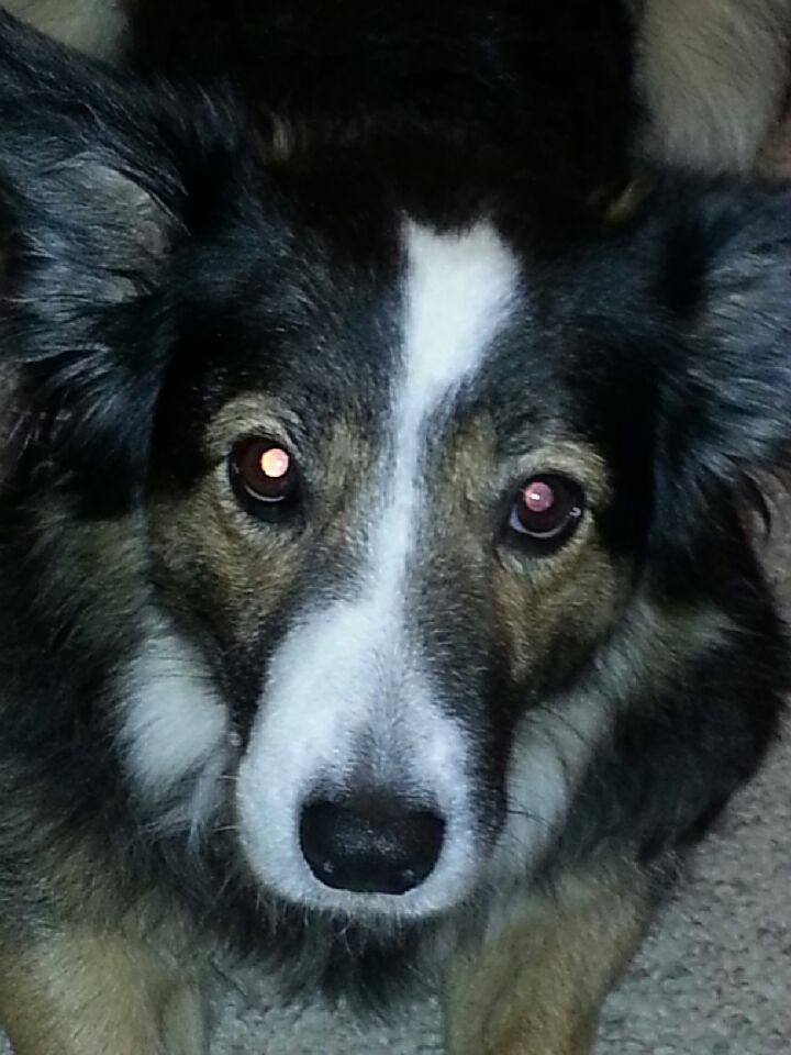 Henders144's profile picture. 